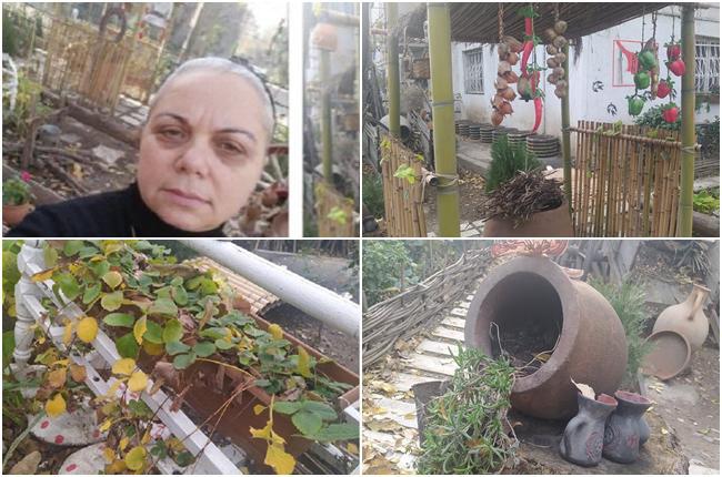 "ყველამ ისე აღიქვა, თითქოს შვილის ხსოვნას მივუძღვენი " - ულამაზესი სივრცე ნაგავსაყრელის ადგილას: ექსკურსიაზე გარდაცვლილი მოზარდის დედამ ბაღი გააშენა