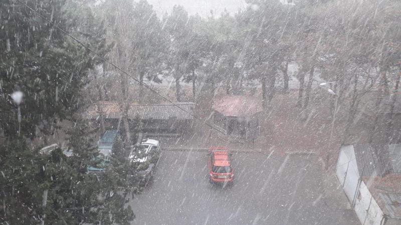 საქართველოს რიგ რაიონებში, მათ შორის თბილისში, თოვს