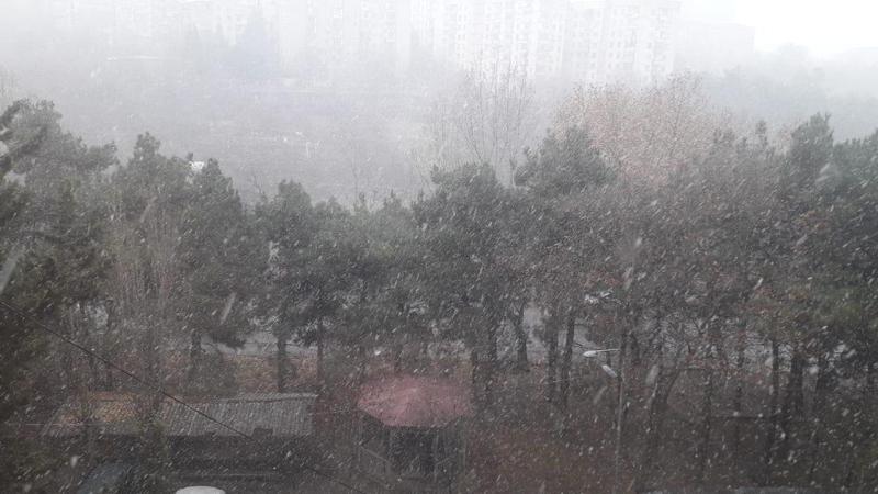 თბილისში პირველი თოვლი მოვიდა - როგორია უახლოესი დღეების პროგნოზი ქვეყნის მასშტაბით?