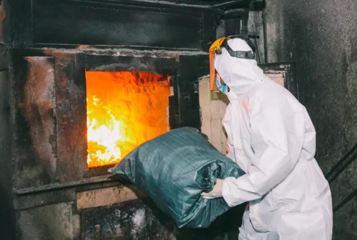 შსს-მ უკანონო ბრუნვიდან ამოღებული 37 მლნ ლარზე მეტი ღირებულების ნარკოტიკი გაანადგურა