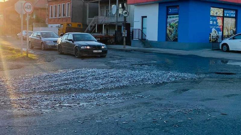 "ეს სუნი გაუსაძლისს ხდის არსებობას" - გზებზე დაყრილი თევზი, რა ფოტოებს აქვეყნებს გიგი უგულავა ფოთიდან