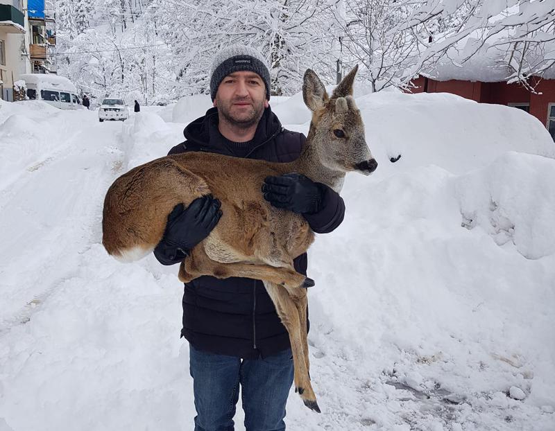 დღის ფოტო შუახევიდან - მოქალაქემ  ფეხმოტეხილი შველი შეიფარა