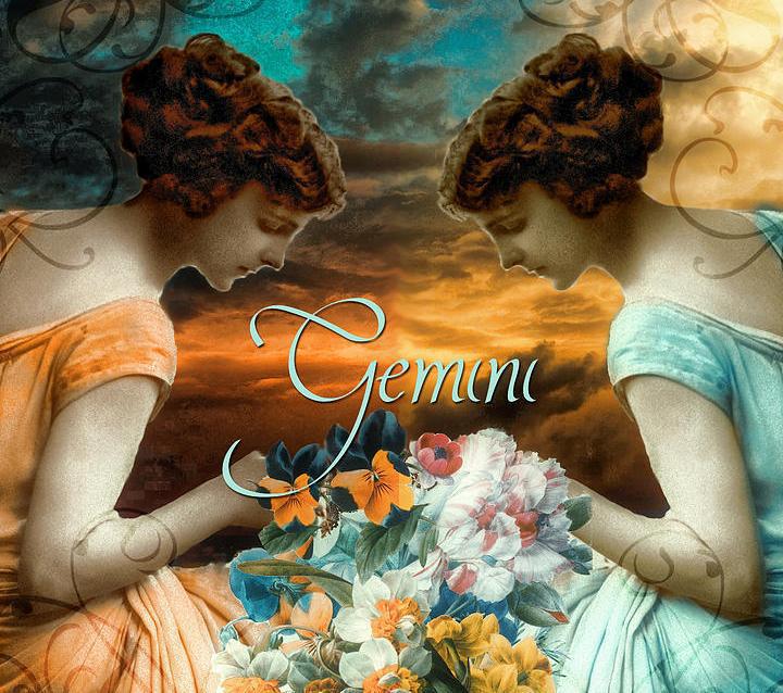 თებერვლის ასტროლოგიური პროგნოზი მამაკაცი და ქალი ტყუპისთვის