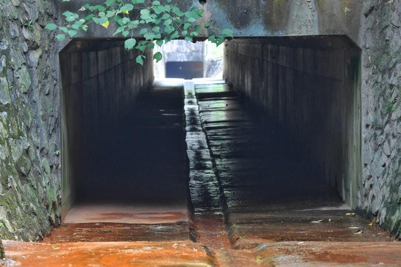 საზარელი დანაშაული სინგაპურში: 11 წლის ტყუპი ძმა გარდაცვლილი იპოვეს - მკვლელობაში მამაა ბრალდებული