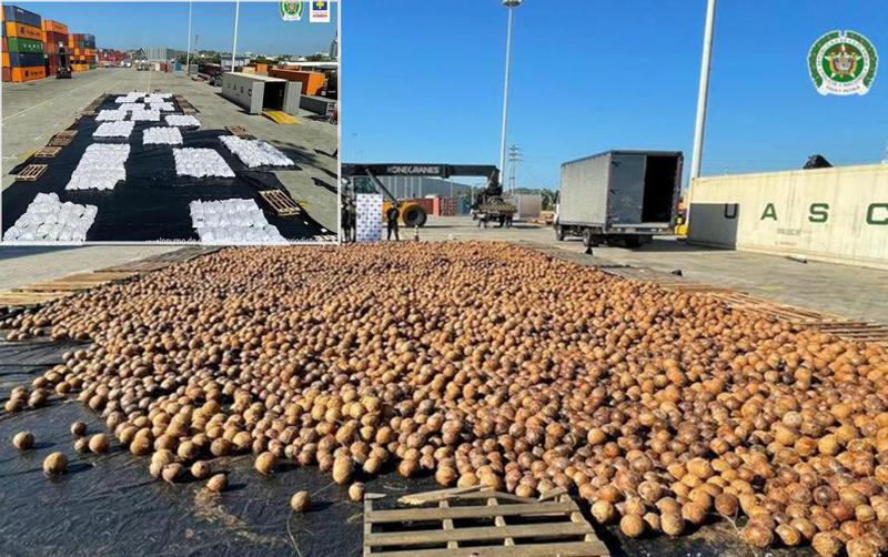 კოლუმბიაში 20 000 ქოქოსი აღმოაჩინეს, რომელიც თხევადი კოკაინით იყო სავსე