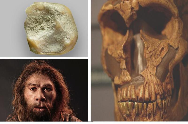 არქეოლოგების უახლესი აღმოჩენა, რომელიც ევროპაში პირველი ადამიანის გამოჩენის ისტორიას ცვლის - რა მტკიცებულებას მიაკვლიეს საფრანგეთში