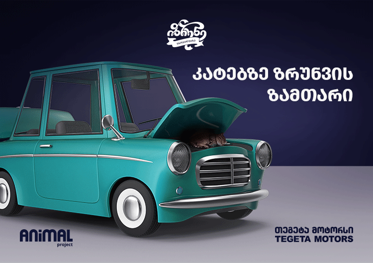 კატებზე ზრუნვის ზამთარი - თეგეტას და Animal Project-ის ახალი საინფორმაციო კამპანია