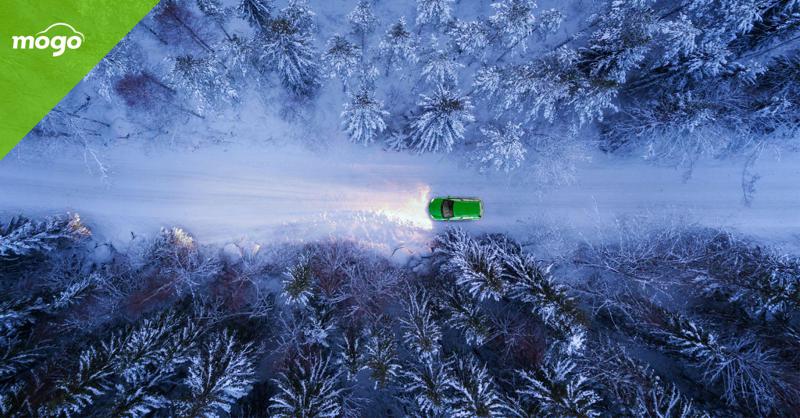 რომელ მანქანებს გირჩევთ მოგო ზამთრისთვის და როგორ მოვუაროთ მათ?