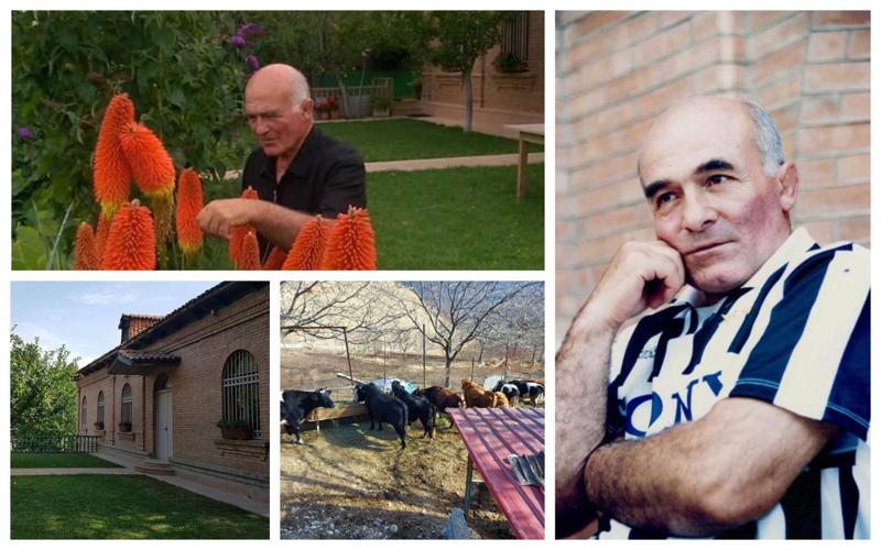 "1982 წლიდან თბილისში ღამე არ გამითენებია... თავიდან აქ პატარა ხუხულა იდგა" - 80 წლის ოლიმპიური ჩემპიონის პატარა "ქვეყანა" მცხეთაში და წარმატებული მეურნეობა