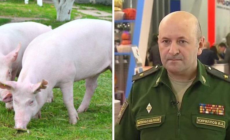 რუსეთი ლუგარის ლაბორატორიას კვლავ არ ივიწყებს - რუსი გენერალ-ლეიტენანტი ამტკიცებს, რომ ღორის ჭირი, რომელიც რუსეთში ვრცელდება, თურმე საქართველოში გამოიყვანეს