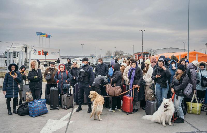 "უთქვამს, ჩემმა ძაღლმა შვილები გადამირჩინა, ვალში ვარ მასთანო" - უკრაინელი დევნილები და მათ დასახმარებლად გაერთიანებული ადამიანები