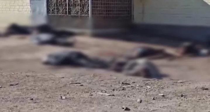 ჩერნიგოვში ოკუპანტებმა პურის რიგში მყოფ მოქალაქეებს ცეცხლი გაუხსნეს, დაღუპულია 10 ადამიანი - უკრაინული მედია (ვიდეო)