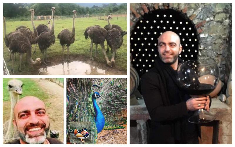 "არქივში აღმოვაჩინე, რომ ამ სოფელშია ჩემი წინაპრების დოკუმენტები და ჩამოვედი..." - მარტვილში გადასახლებული ყოფილი მორაგბეს კრეატიული ფერმა და სირაქლემების უნიკალური კოლექცია