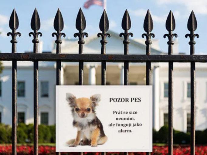 "გვაქვს სინდისი, ამერიკული ფინია ამოვიცნოთ" - რუსეთის სარკასტული პასუხი ჩეხეთის საგარეო უწყების განცხადებაზე, სადაც რუს დიპლომატებს თანამდებობიდან გადადგომა მოსთხოვეს