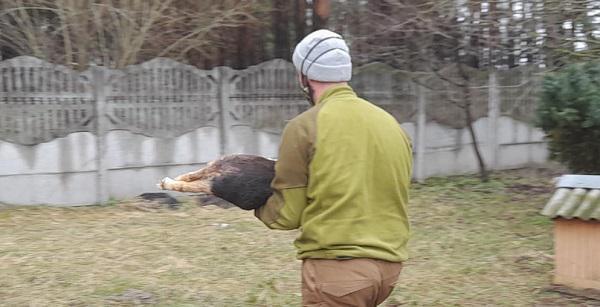 "ათეულობით ძაღლი საშინელი სიკვდილით დაიხოცა..." - მოხალისეებმა უკრაინაში 1 თვის წინ მიტოვებული ძაღლების თავშესაფარი აღმოაჩინეს, სადაც სულისშემძვრელი სურათი დახვდათ (ფოტოები)
