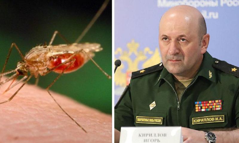 რუსეთში კვლავ ლუგარის ლაბორატორიაზე საუბრობენ და ამჯერად, აცხადებენ, რომ საქართველოდან რუსეთში კოღოები ვრცელდება - რა საფრთხეზე საუბრობს კირილოვი