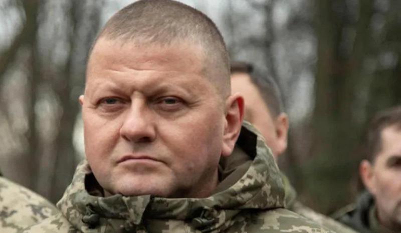 "დღეს უკრაინის შეიარაღებული ძალების საჰაერო ძალებმა 10-დან 10 რუსული აერობალისტიკური რაკეტა ჩამოაგდეს... ეს რეკორდია!" - ვალერი ზალუჟნი