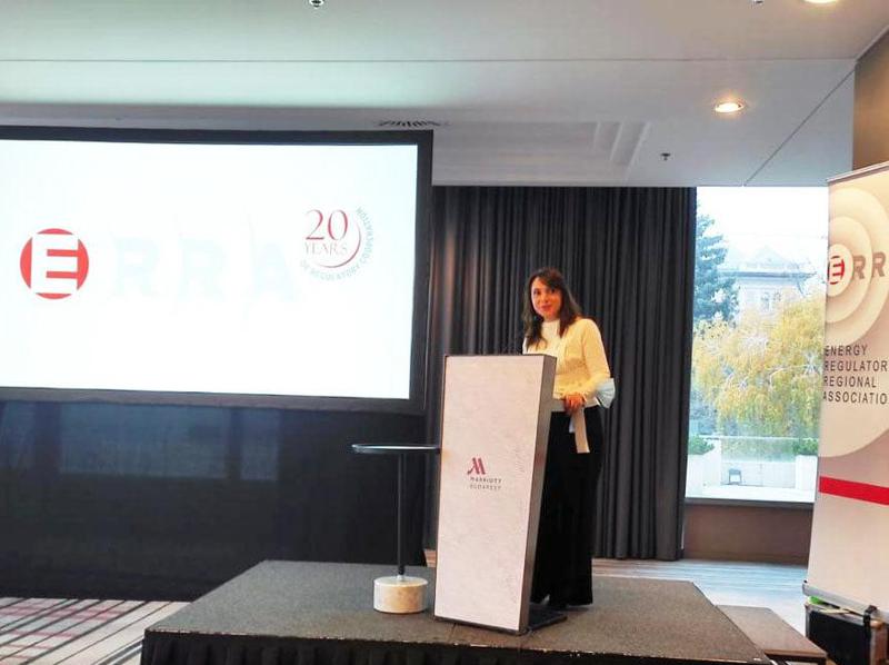 სემეკის წევრი მაია მელიქიძე ERRA-ს მეორე ვადით უხელმძღვანელებს