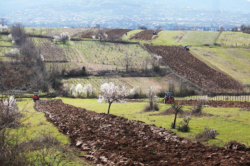 ფერმერები სახელმწიფოსგან სუბსიდიას მიიღებენ - რა ოდენობის იქნება დახმარება და როგორ უნდა დარეგისტრირდეთ ფერმერთა რეესტრში?