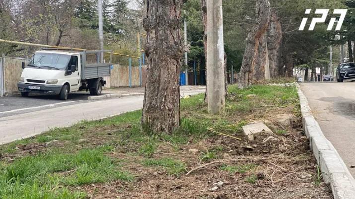 "მიწას თხრიდა, სავარაუდოდ, ნარკოტიკს ეძებდა... გულის არეში ჰქონდა ნასროლი“ - რას ჰყვება წყნეთში, დეტექტივის გასროლის შედეგად ახალგაზრდა მამაკაცის გარდაცვალებაზე თვითმხილველი