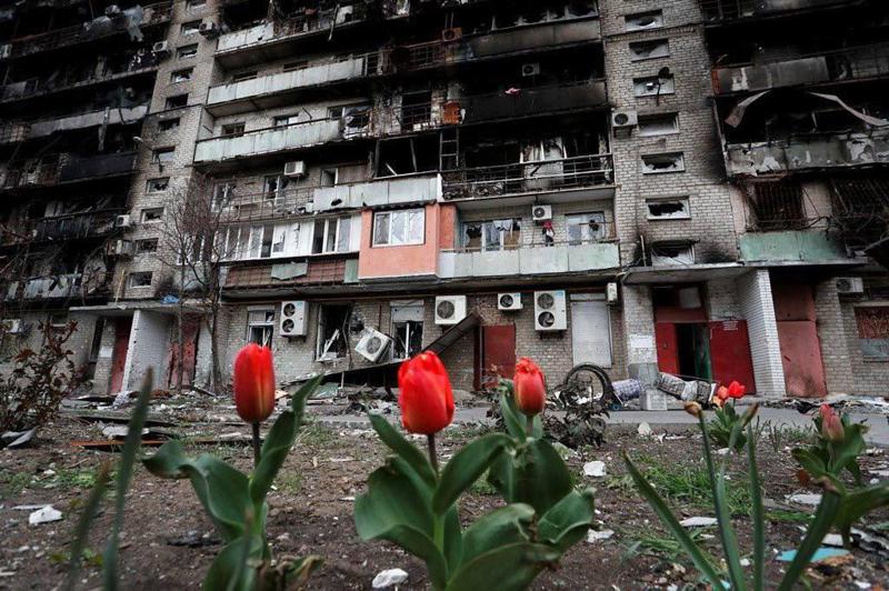 დღის ფოტო: გაზაფხული მარიუპოლში - "აქ სიცოცხლე აუცილებლად გაიმარჯვებს"