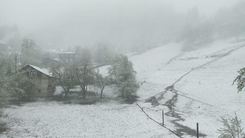 მაისის თოვლი ხულოში (ფოტო, ვიდეო)