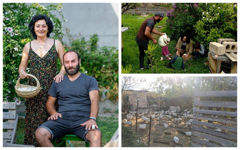 "ნულიდან დავიწყეთ ყველაფერი, რთული დღეები გადავლახეთ და შედეგს მივაღწიეთ" - საჯარო სამსახურის პარალელურად დაწყებული მეურნეობა: გაიცანით ახალგაზრდა ფერმერი, დიდი გეგმებით