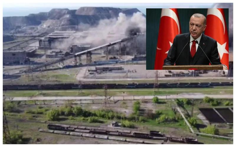 "ჩვენ გვჭირდება გმირი... მიგვაჩნია, რომ ერდოღანი შეიძლება იყოს ასეთი ადამიანი" - რა მიმართვას უგზავნიან "აზოველების" ოჯახის წევრები თურქეთის პრეზიდენტს?