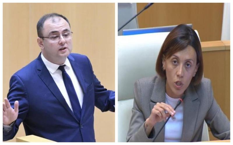 "გაფუჭებული, ბატარეადამჯდარი რუპორივით ნუ საუბრობთ..." - რატი ბრეგაძე ანი წითლიძეს: პლენარული სხდომა კამათის ფონზე