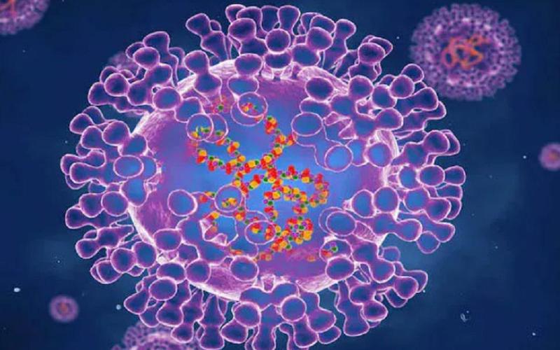 საქართველოში "მაიმუნის ყვავილის“ პირველი შემთხვევა დადასტურდა