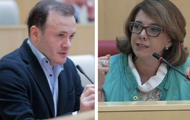 "ერთი ხელმოცარული დიპლომატი ხარ, თანაც ყოფილი - ამოვიდა ყელში თქვენი ქედმაღლობა" - ირაკლი ზარქუა სალომე სამადაშვილს