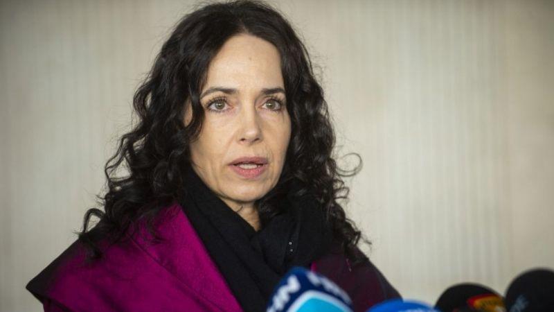 "ქართული დემოკრატიისთვის სამწუხარო დღეა - დროა, ევროკავშირმა ოლიგარქს მკაფიო გზავნილი გაუგზავნოს" - მირიამ ლექსმანი