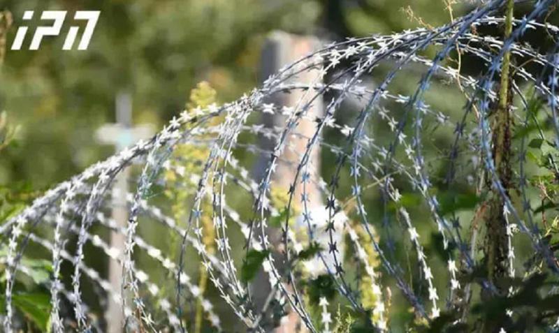 ოკუპანტებმა სოფელ წნელისთან საქართველოს ორი მოქალაქე დააკავეს - რა დეტალებს ავრცელებს სუს-ი?