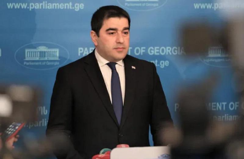 "მოვუწოდებ ევროპარლამენტის წევრებს, ნუ იქნებიან პოლარიზაციის წამქეზებლები" - შალვა პაპუაშვილი