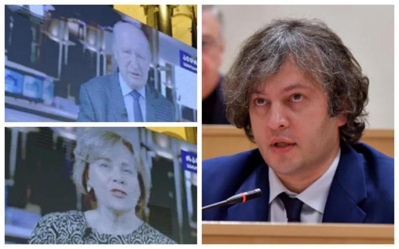 "სინამდვილეში ისინი არიან დანამატი იმ პარტიისა, რომელსაც ჰქვია "ნაცმოძრაობა" - კობახიძე ევროპარლამენტარებზე, რომლებმაც აქციაზე შეკრებილებს მიმართეს