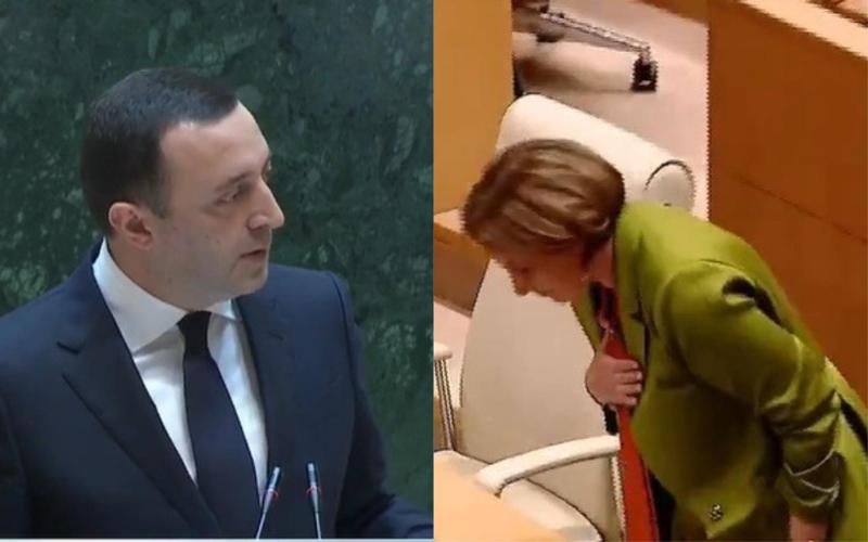 "იცნობდეთ ქვეყნის მოღალატეს... ის პირადად დადიოდა ბრიუსელში და სთხოვდა, რომ არ მოეცათ კანდიდატის სტატუსი" - პრემიერი სალომე სამადაშვილზე