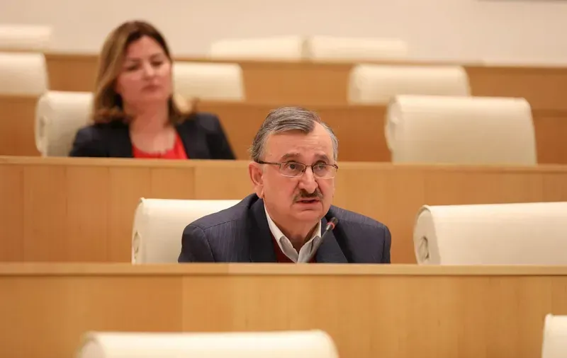 "მე რომ გითხრათ, თქვენი პრემიერი, პარტიის თავმჯდომარე ან თქვენი სულიერი ლიდერი კოჭლი ინდაურის "წიპიაა", ეს სიძულვილის ენა იქნება, თუ არა?" - გოცირიძე