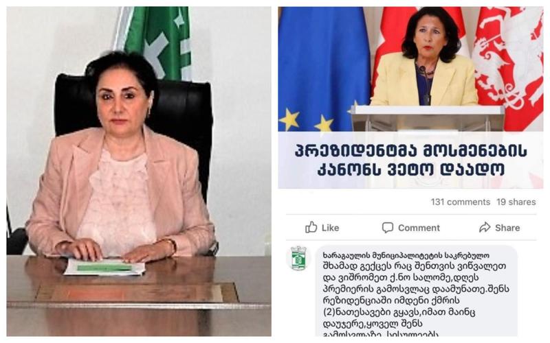 "მე ვარ ამ ტექსტის ავტორი... ემოციურ ფონზე დავწერე" - ხარაგაულის საკრებულოს თავმჯდომარე პრეზიდენტის შეურაცხმყოფელ კომენტარზე