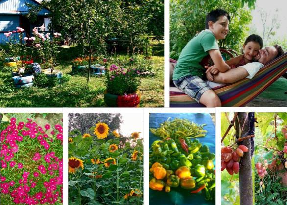 "დღისით გლეხის თანამდებობაზე ვარ, საღამოდან - ლექტორის, დოქტორანტის, ჟურნალისტის..." -  როგორ მოაწყო არჩილ გამზარდიამ პატარა "სამოთხე" ტოლათსოფელში