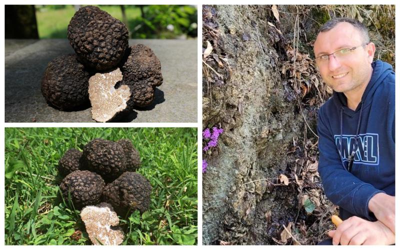 "ტრუფელზე ლეგენდები დადის, რომ განსაკუთრებული გემო აქვს... მისი ფასი 5000 ევრომდეა" - რას ამბობს გიორგი სულამანიძე სოკოს უიშვიათეს სახეობაზე, რომელიც ლაგოდეხში აღმოაჩინეს