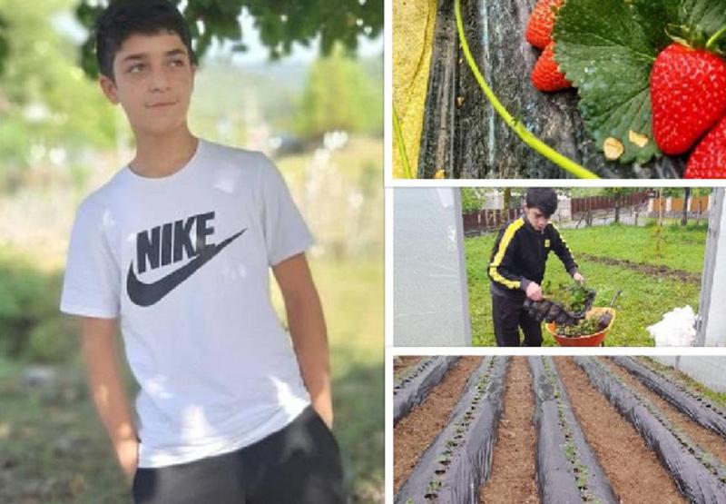 "ქუჩაში უქმად არ უნდა იარო. უსაქმურობით ვერაფერს მიაღწევ" - ობლობის პენსიით დაწყებული მეურნეობა და 16 წლის გურული ბიჭი ბიზნესითა და დიდი მიზნებით