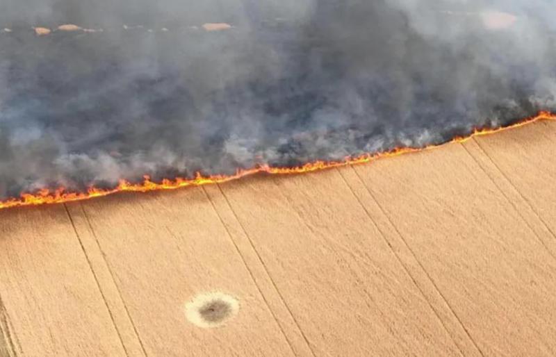 რუსულმა ძალებმა ზაპოროჟიეში მარცვლეულის მინდვრებს ცეცხლი წაუკიდეს