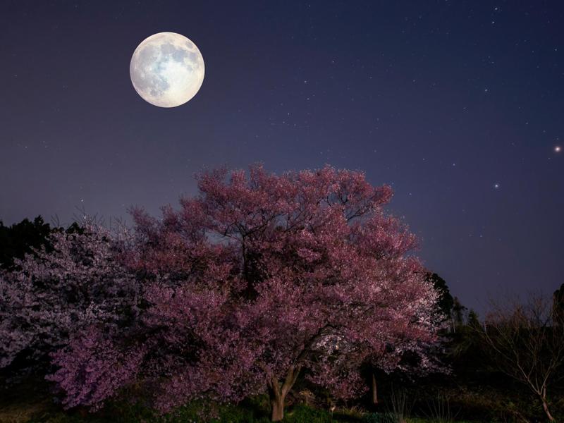 ამაღამ სუპერსავსემთვარეობაა: დაძაბულობა პიკს მიაღწევს, რას მოგვიტანს მომდევნო ორი კვირა, პროგნოზი ზოდიაქოს ყველა ნიშნისთვის