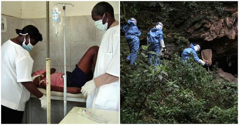 განაში მარბურგის მომაკვდინებელი ვირუსის 2 შემთხვევა დაფიქსირდა - რა სიმპტომები ახასიათებს და რა გზით ვრცელდება ვირუსი