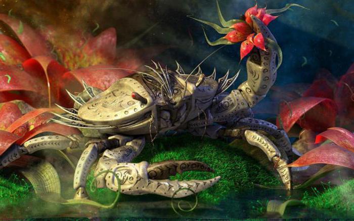 აგვისტოს ასტროლოგიური პროგნოზი მამაკაცი და ქალი კირჩხიბებისთვის "სასიყვარულო და ფულადი საკითხები უნდა მოაგვაროთ"