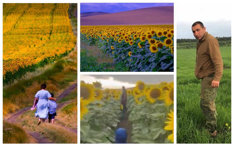 ვის ეკუთვნის ნადარბაზევის ტბასთან გაშენებული მზესუმზირის ულამაზესი პლანტაციები, რომელსაც უამრავი ადამიანი სტუმრობს - "შარშანაც მოდიოდა ხალხი, მაგრამ ამდენი - არა"