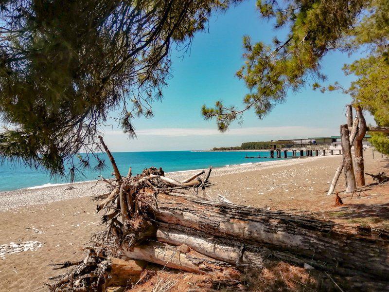 "იმისთვის აღიარეს ჩვენი დამოუკიდებლობა, რომ ის ეკეთებინათ, რაც მოესურვებოდათ" - საპროტესტო ტალღა ოკუპირებულ აფხაზეთში ბიჭვინთის აგარაკების რუსეთისთვის გადაცემის საკითხზე