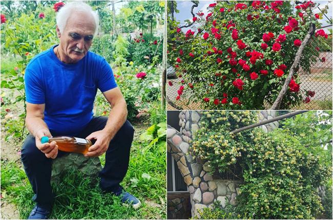 ბებიის რეცეპტით აწყობილი წარმოება და პატიმრობა "ნაცმოძრაობის" თუ "ქართული ოცნების" ხელისუფლებების პირობებში - მებაღე საოკუპაციო ხაზიდან