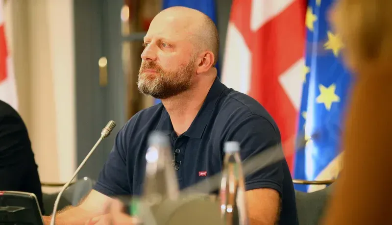 "როგორ უნდა დალაგდნენ, ვერ წარმომიდგენია - მთელი "სანტა-ბარბარაა" - ზურაბ ჯაფარიძე "ნაცმოძრაობაზე"