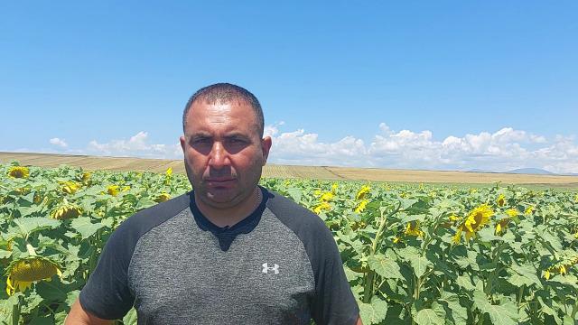 "შორიდან ვუყურებ ხოლმე, მათ ხომ არ იციან ვინ ვარ. ერთმანეთს აკონტროლებენ, რომ არ გააფუჭონ" - რას ამბობს ნადარბაზევის ულამაზესი მზესუმზირების მეპატრონე?